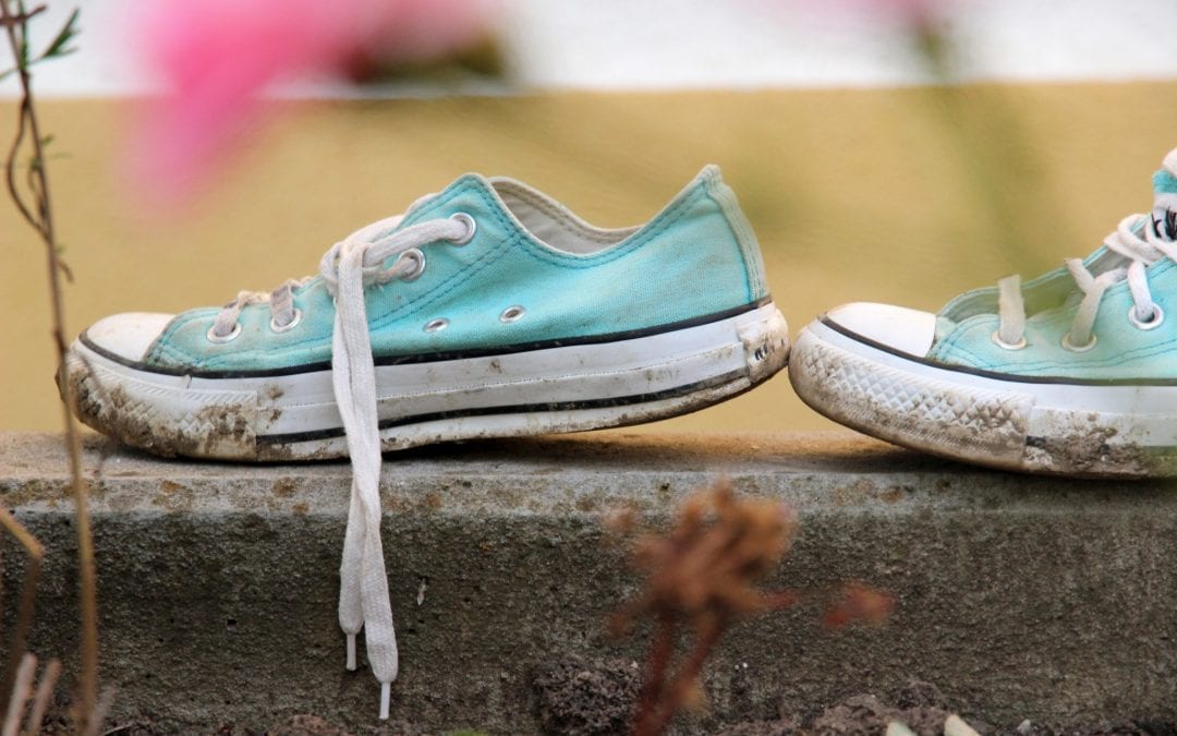 What Bacteria are Commonly Found on Shoes?