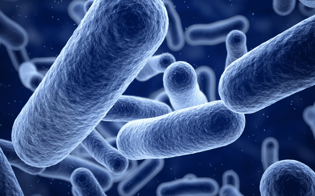 How Do Bacteria Reproduce So Quickly?