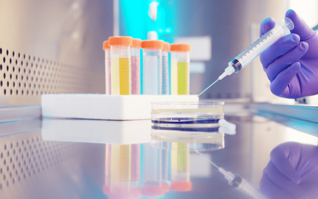 A Beginner’s Guide to Biotech