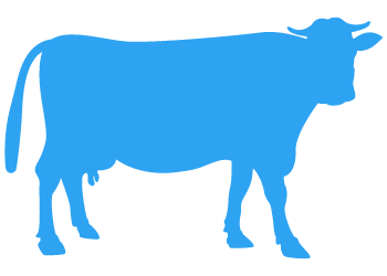 blue-cow-icon