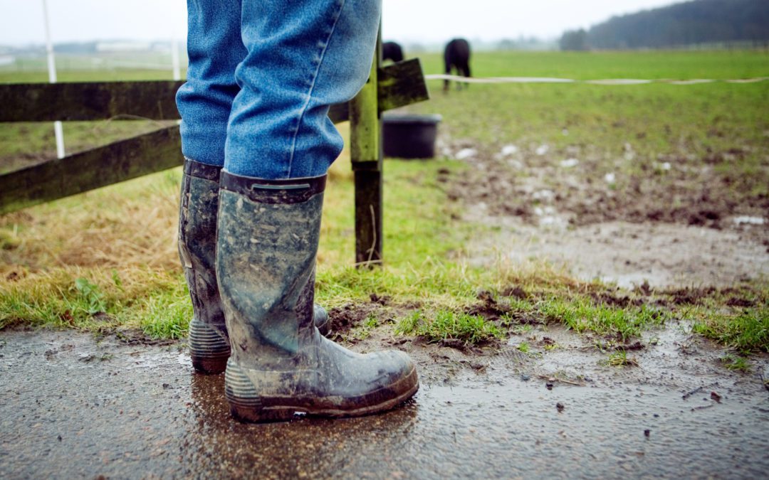 Dirtiest Industries Where A Shoe Sanitizer Is a Must