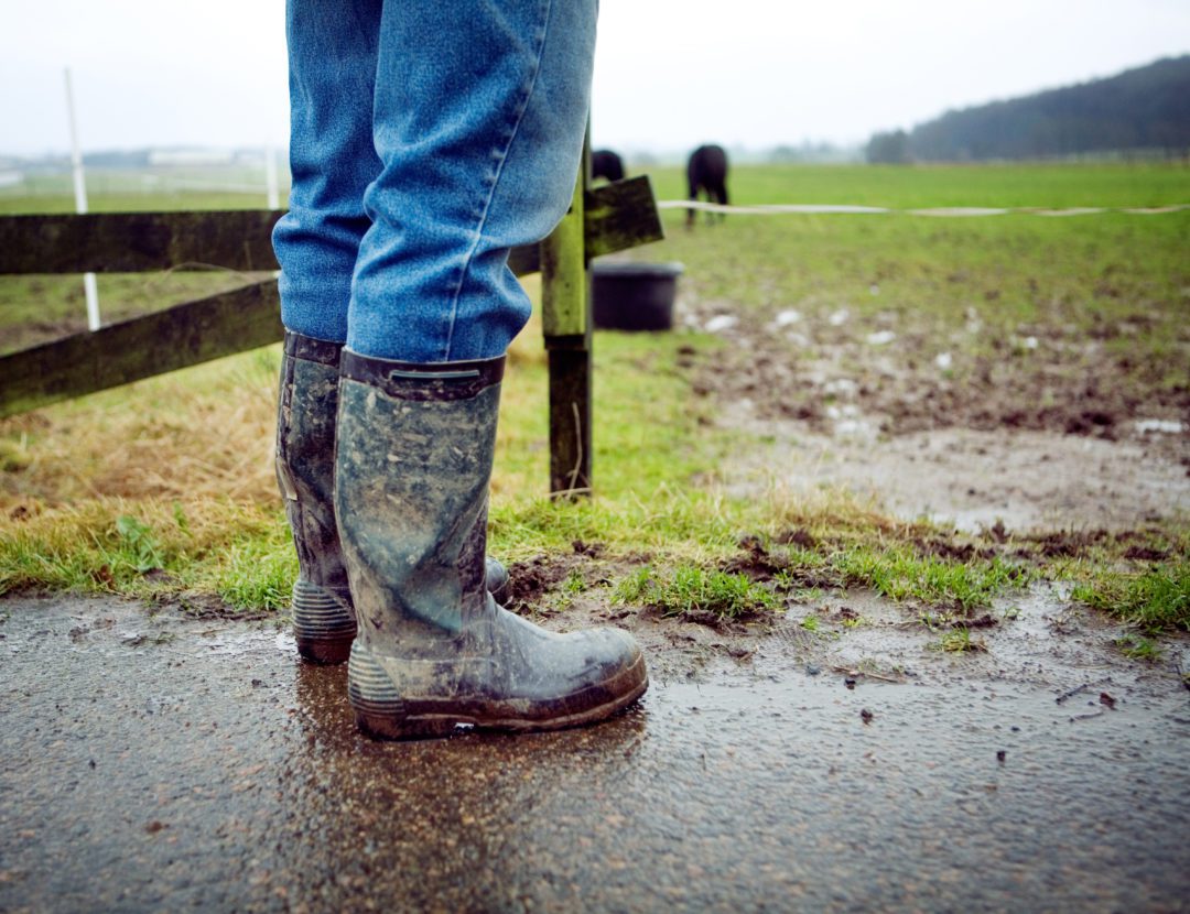 shoe sanitizer for dirty agriculture boots