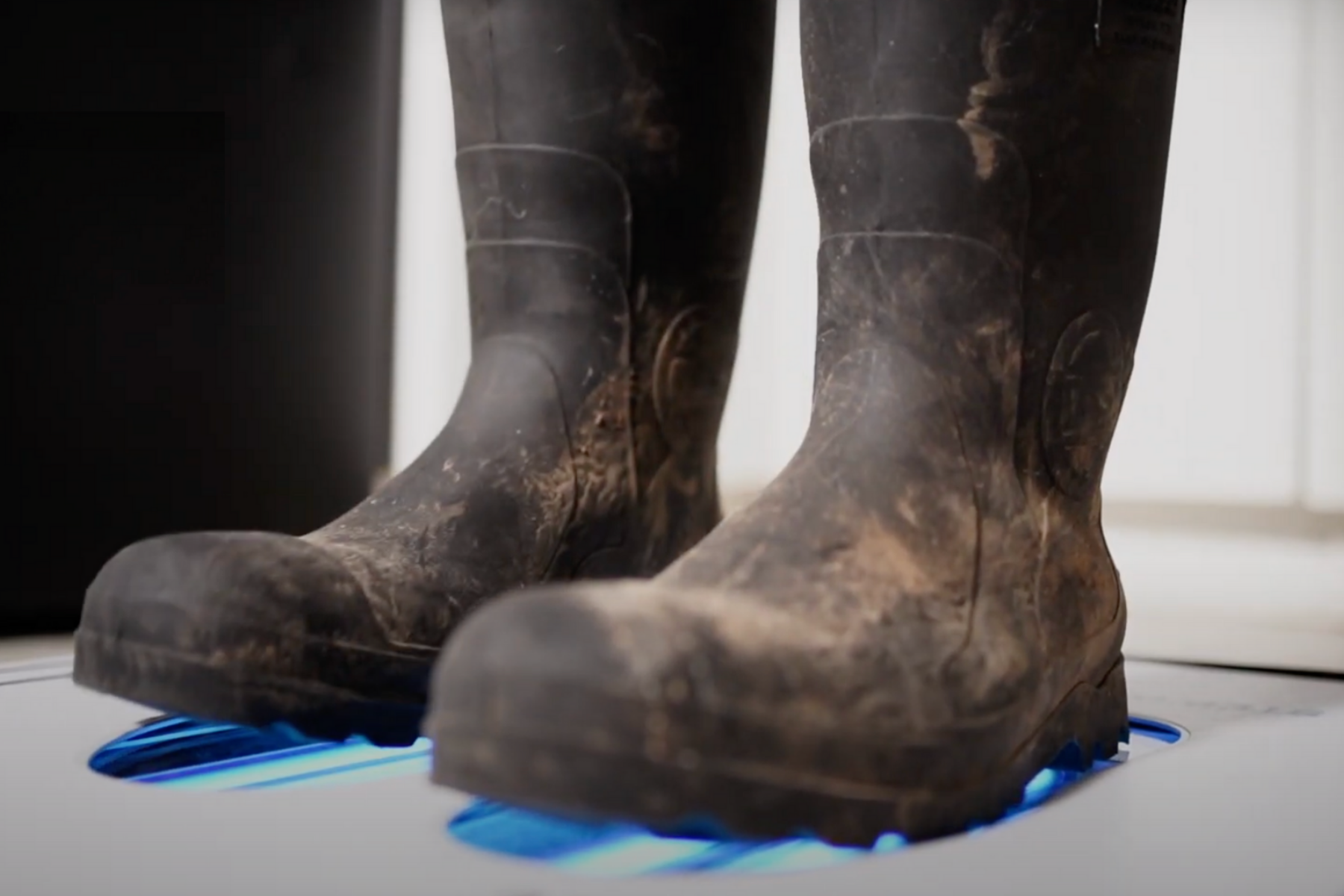 Agricultural boots being disinfected using a shoe sanitizing station